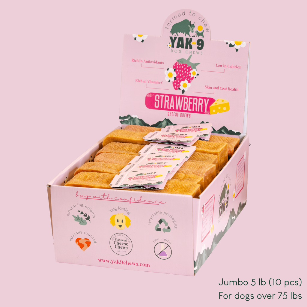 Open jumbo display box of YAK 9 strawberry cheese chews with wrapped pouches