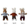 Plush bunny toy set showing Style A, Style B, and Style C bunnies in outfits.