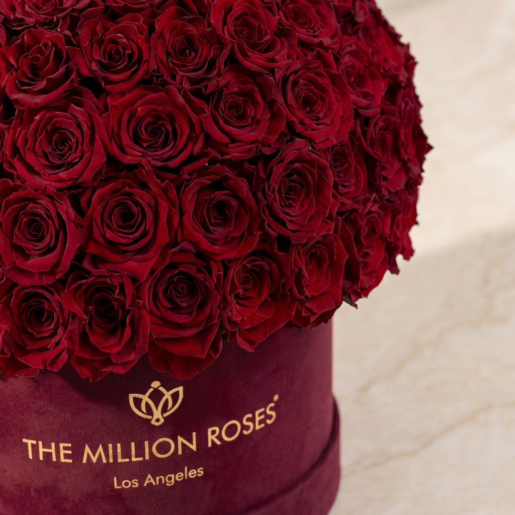 Close-up dark-red roses on burgundy box with THE MILLION ROSES logo