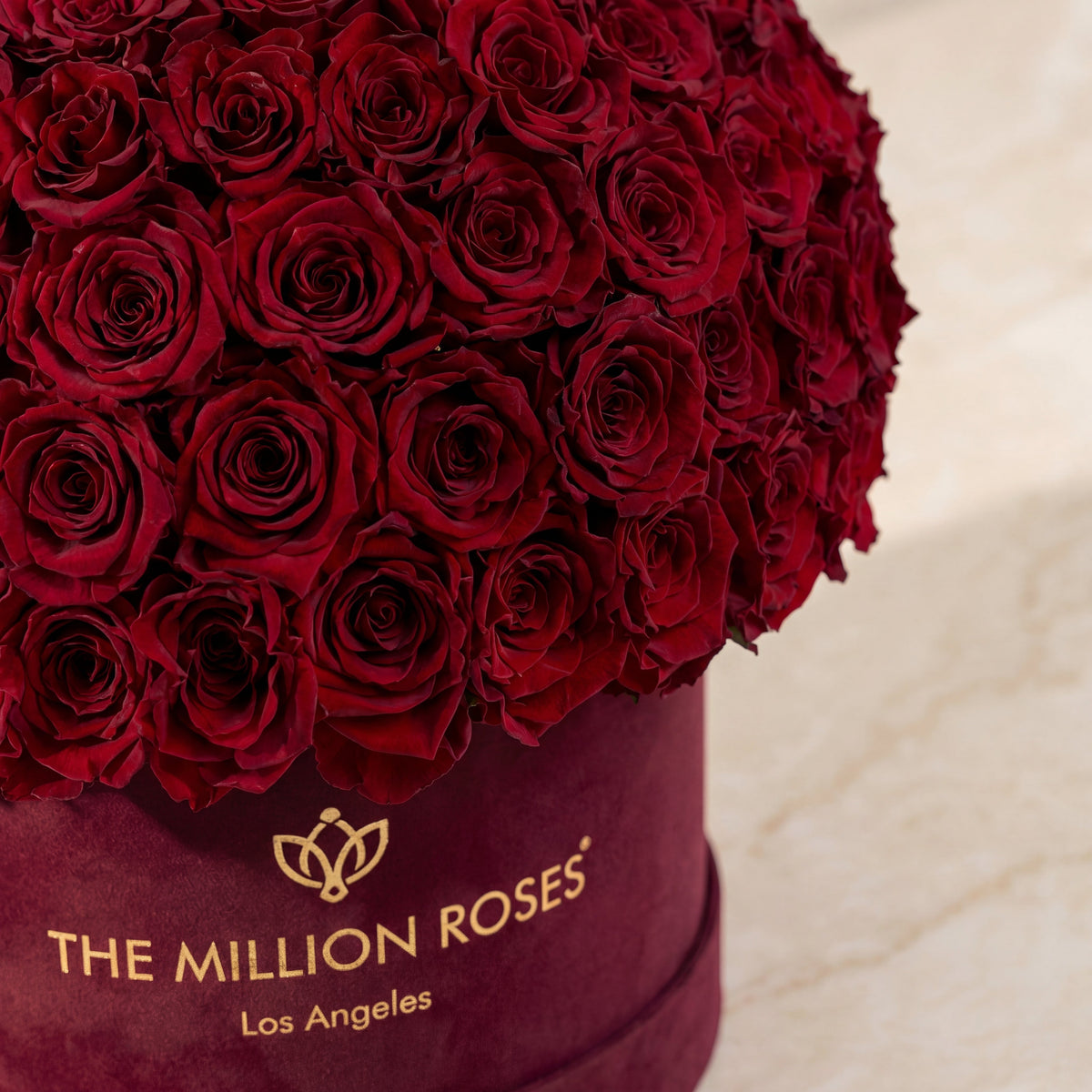 Close-up dark-red roses on burgundy box with THE MILLION ROSES logo