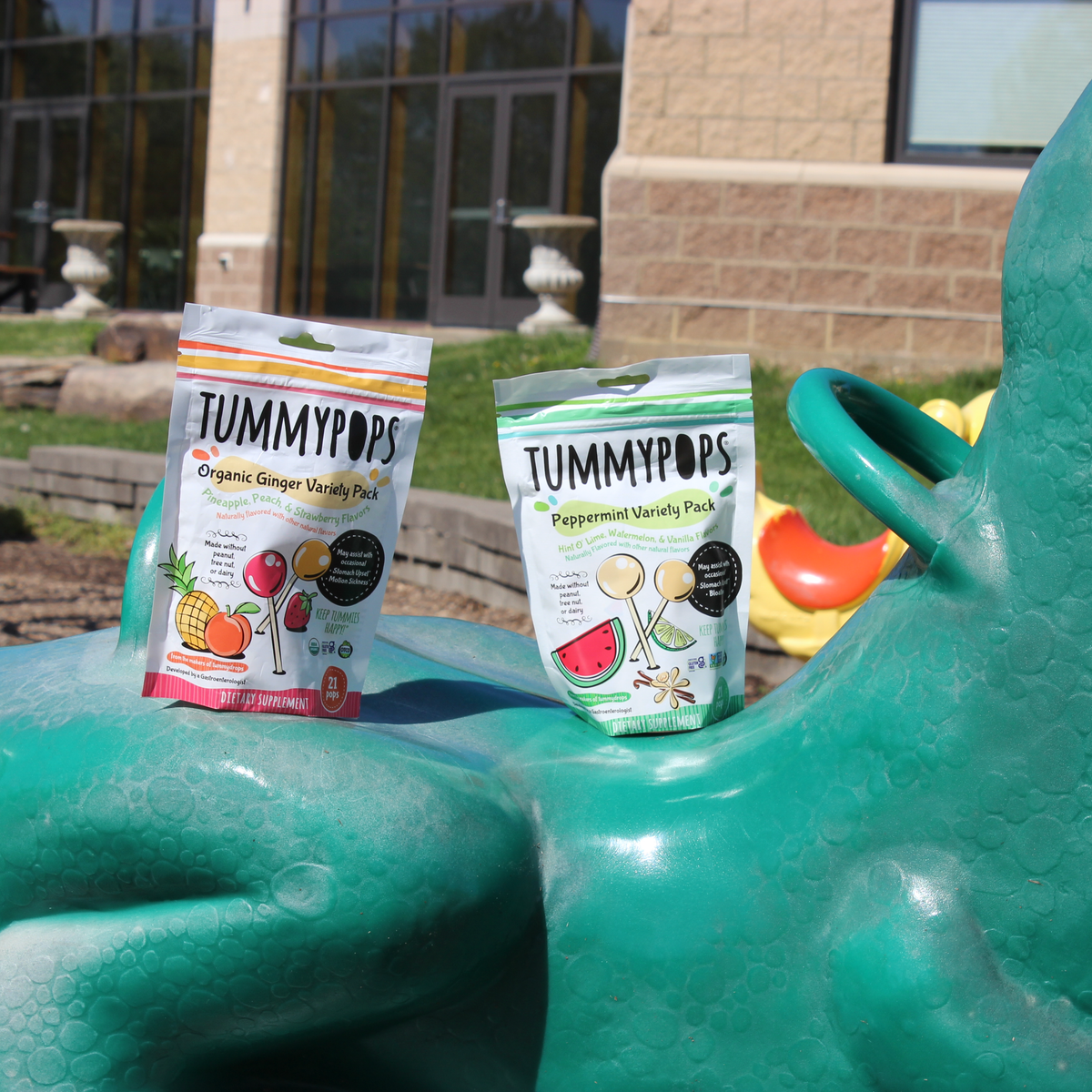 Two supplement variety pouches on a teal pool float: organic ginger and peppermint