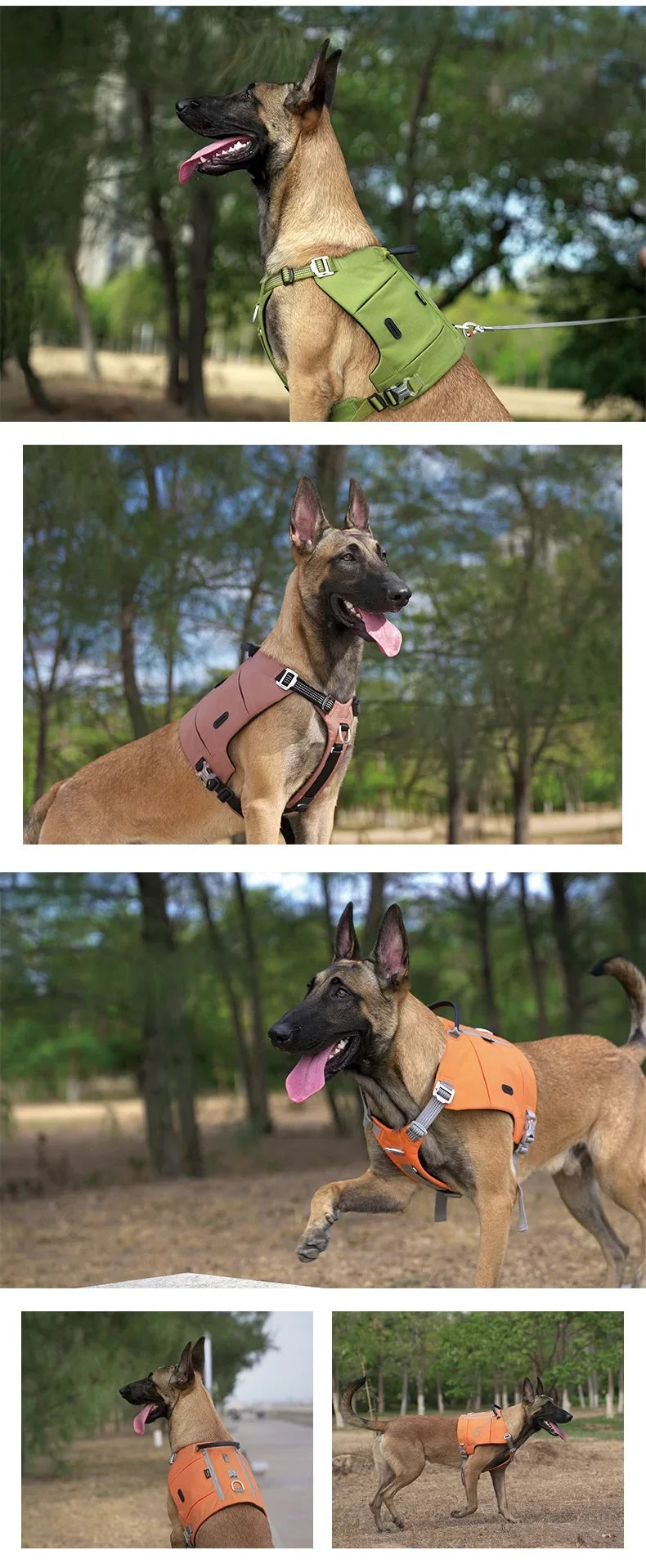 Adjustable dog harnesses in green, pink, and orange on dogs outdoors