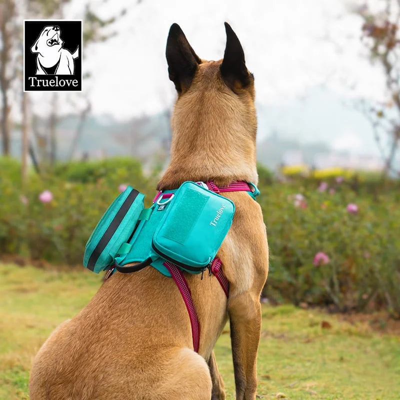 Teal dog pet pouch with front pocket and adjustable strap for small items