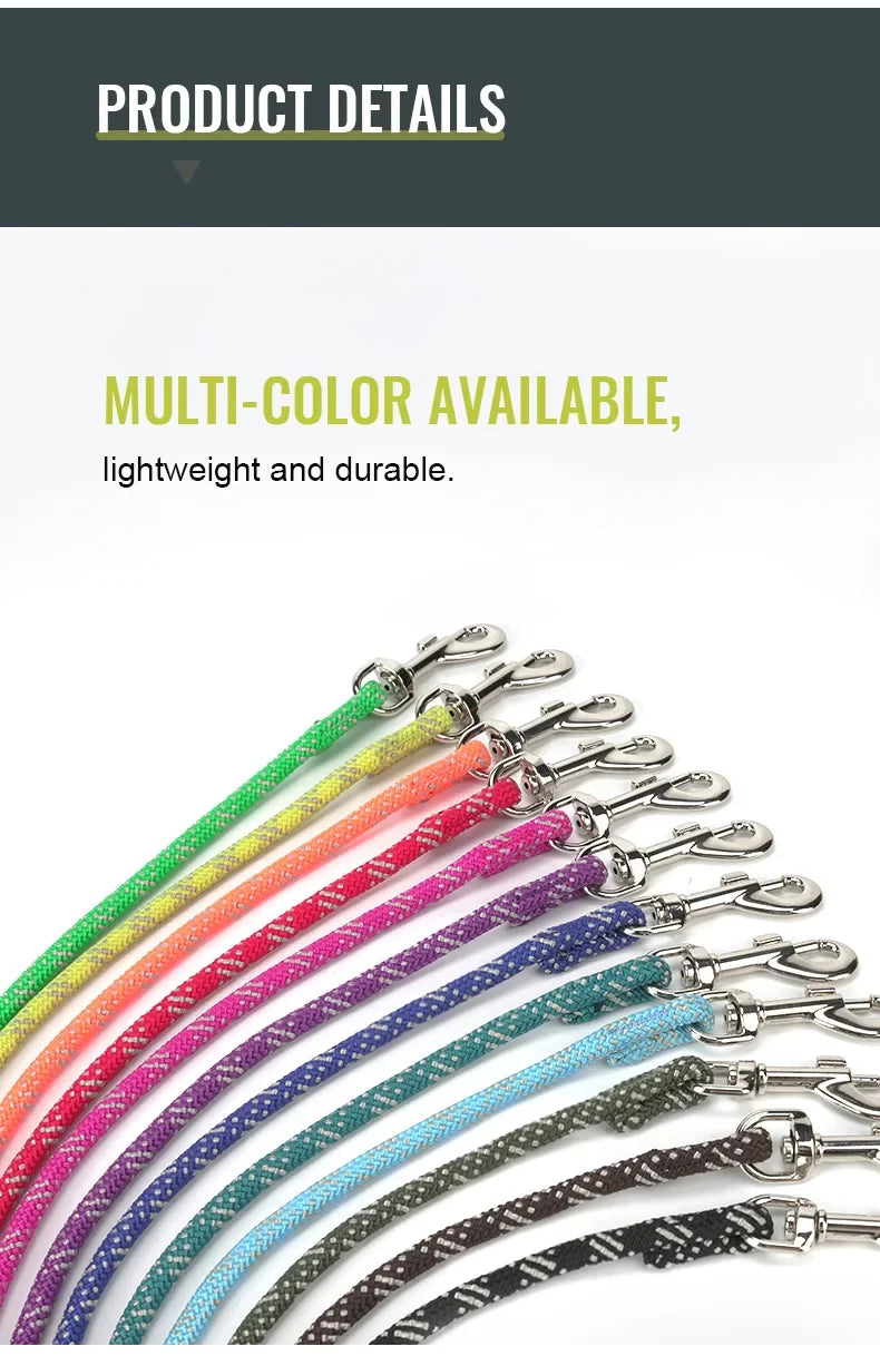 Multi-color rope dog leashes with metal snap hooks, shown in a set