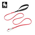 Red reflective dog leash with metal clasp and loop handle