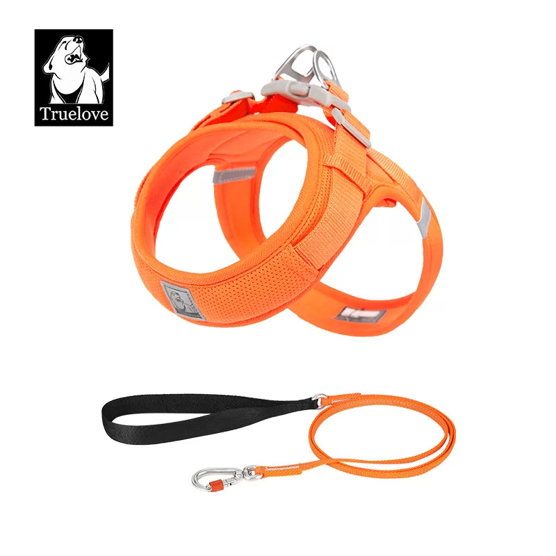 Lightweight dog leash set with orange reflective strap, black handle, and silver clasp
