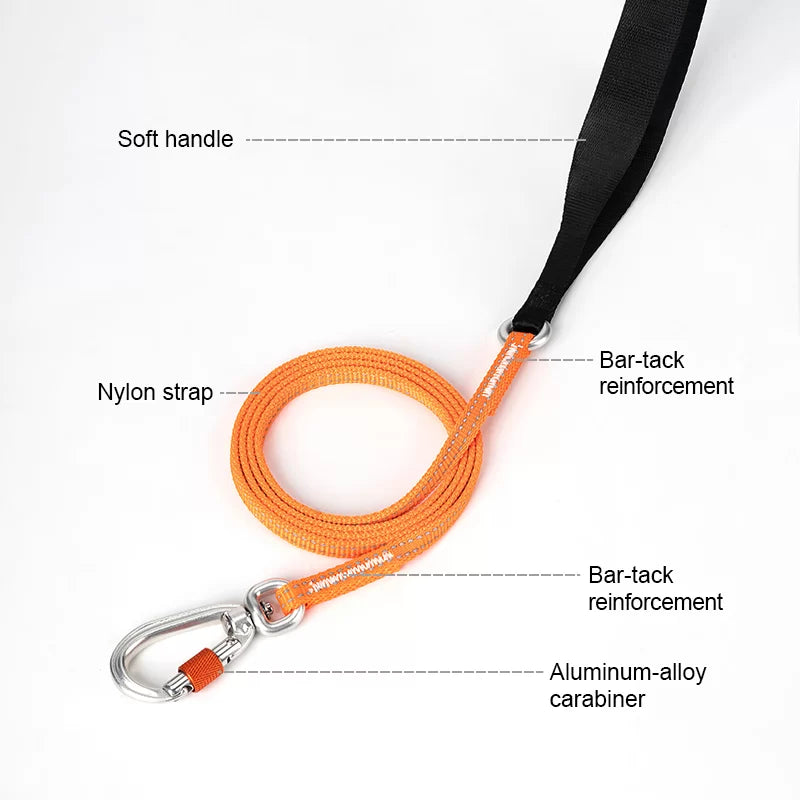 Orange nylon dog leash with black handle, bar-tack reinforcement, and silver carabiner