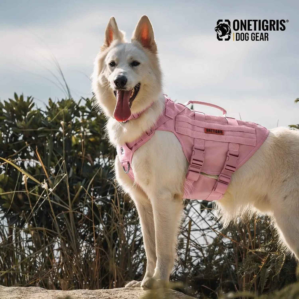 Pink tactical dog harness with dual grab handles, shown on a dog