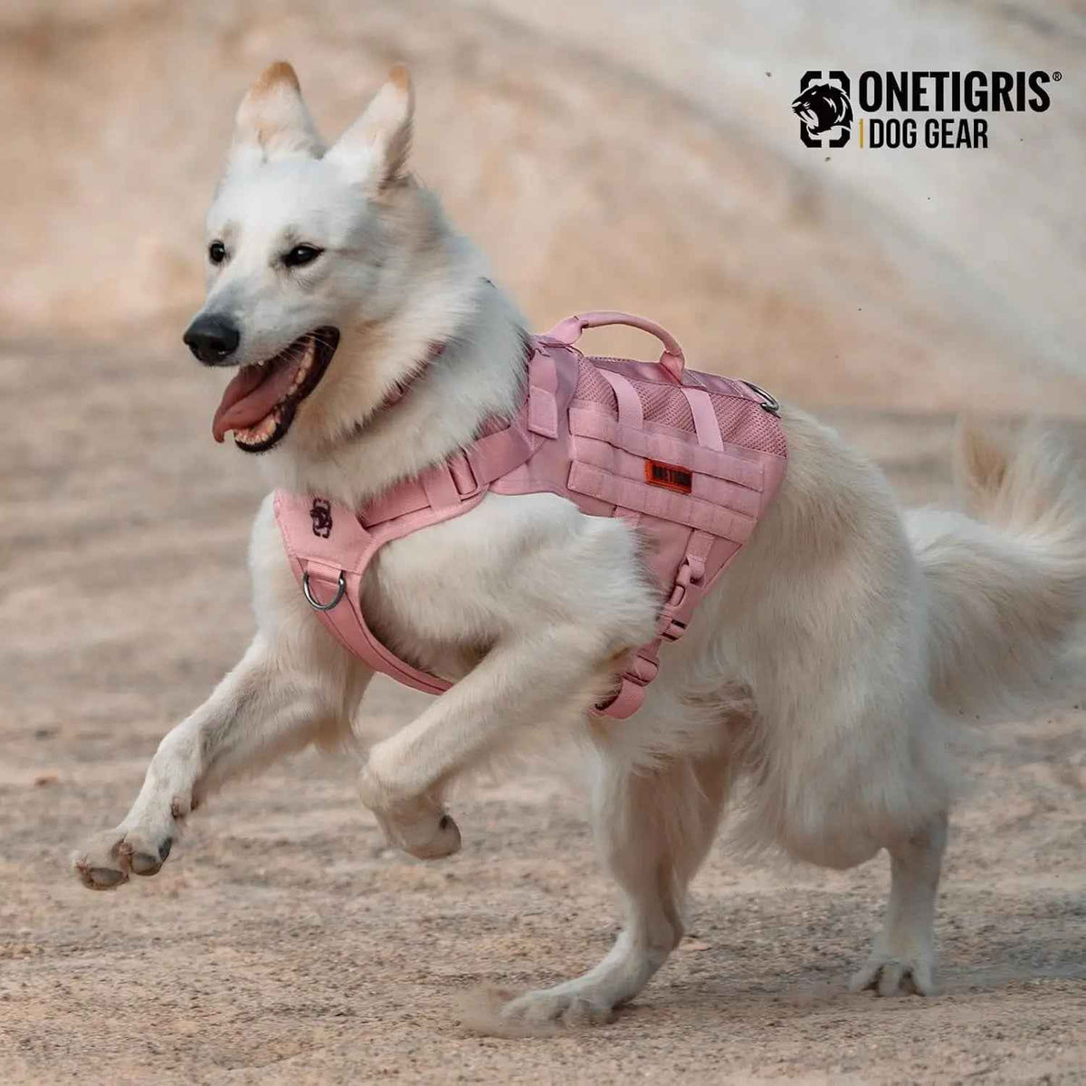 Pink tactical dog harness with grab handle and adjustable straps, worn by a running dog