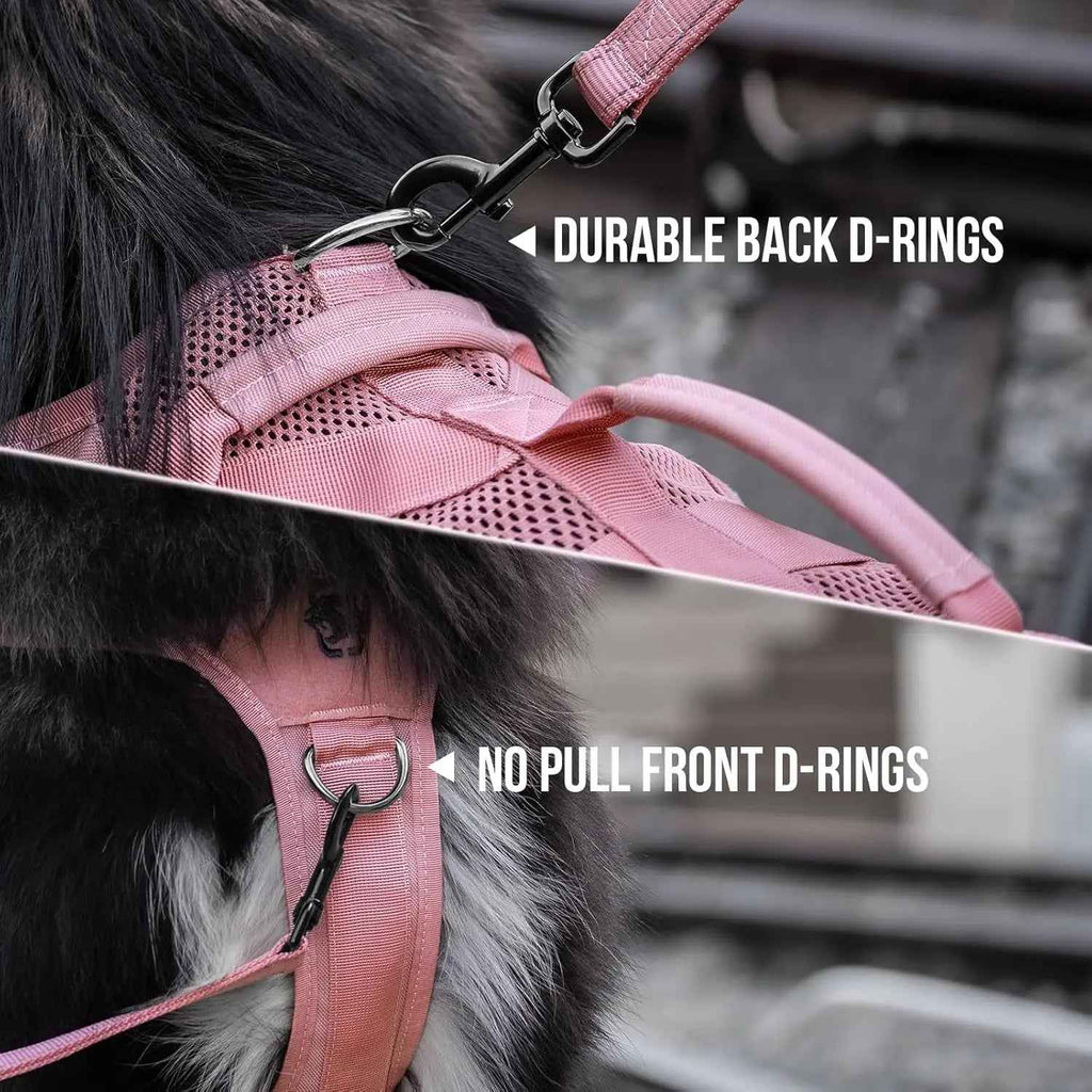Pink dog harness detail with back and front metal D-rings and padded handle