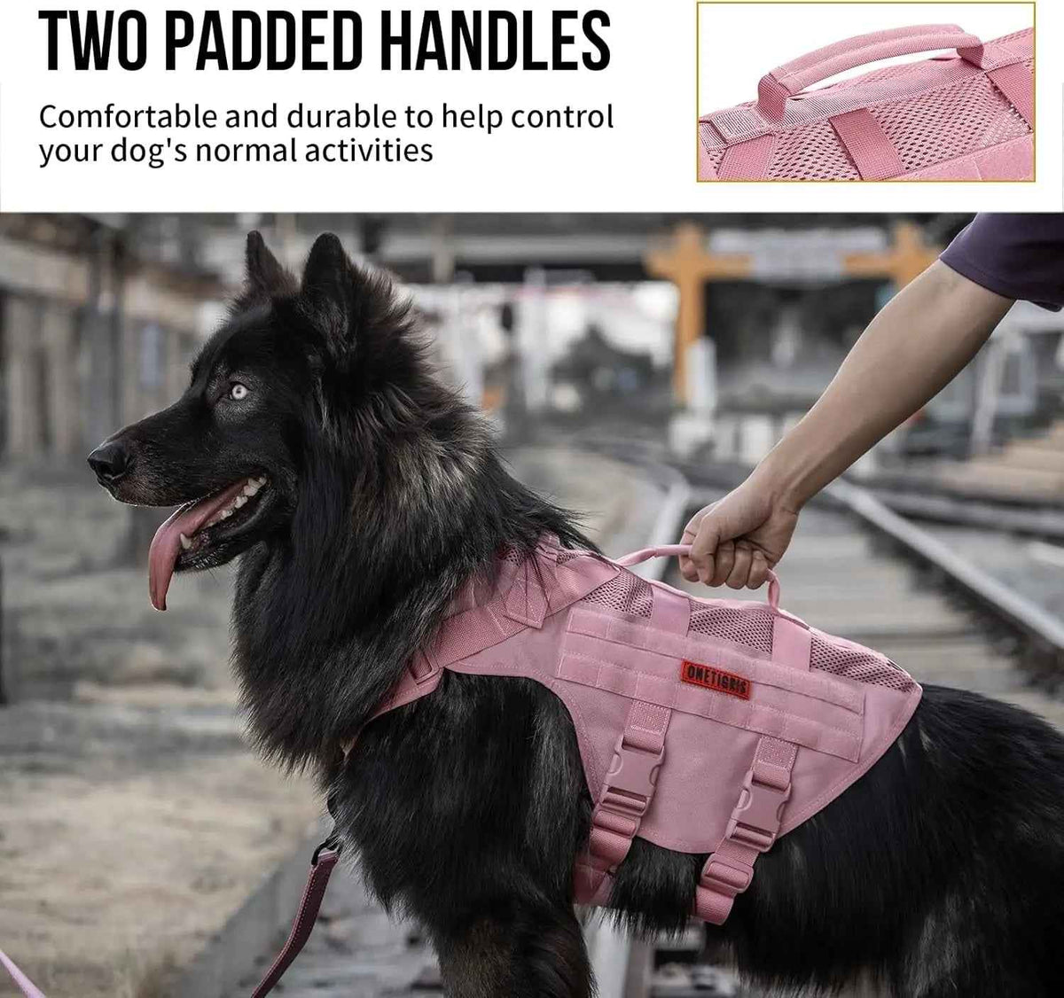 Pink tactical dog harness with two padded grab handles, worn by a dog