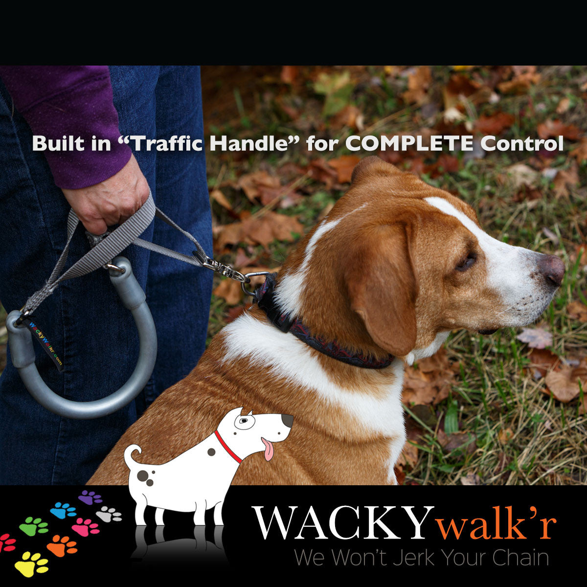 Purple no-pull dog leash with metal hardware on dog collar