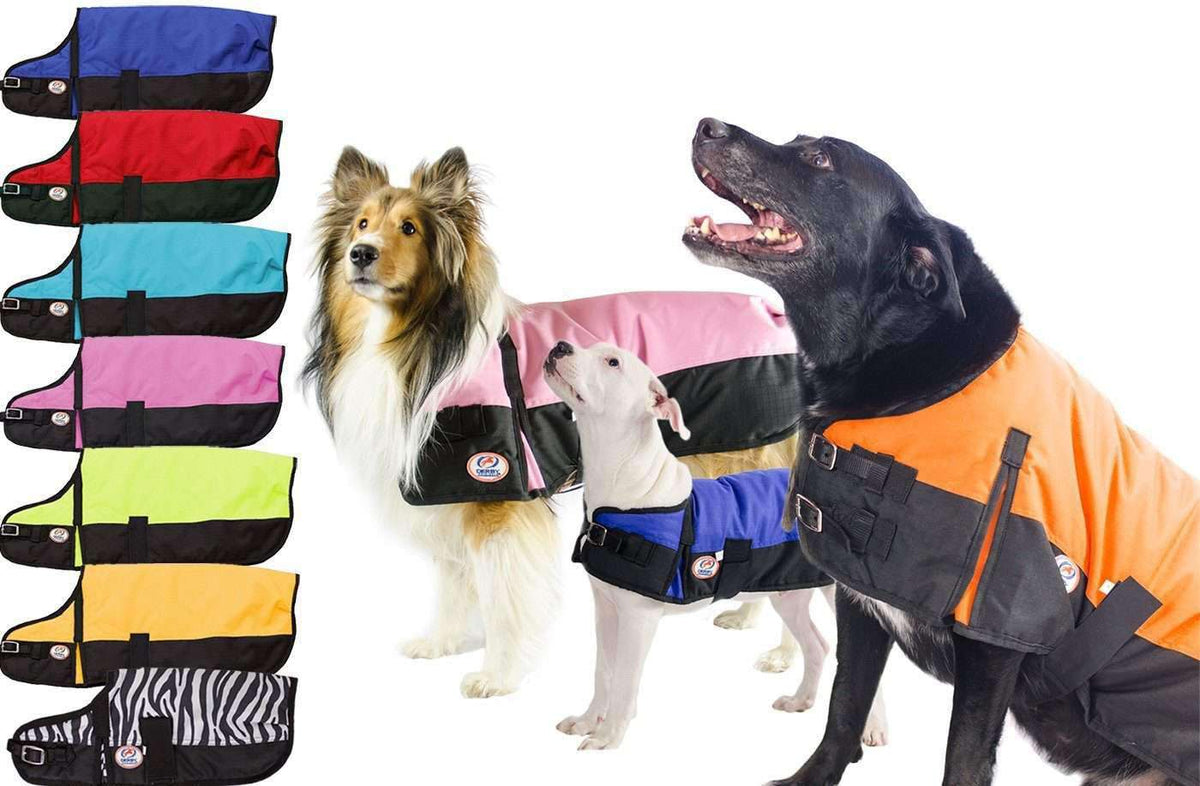 Waterproof winter dog coats, 600D ripstop, multicolor options with black trim