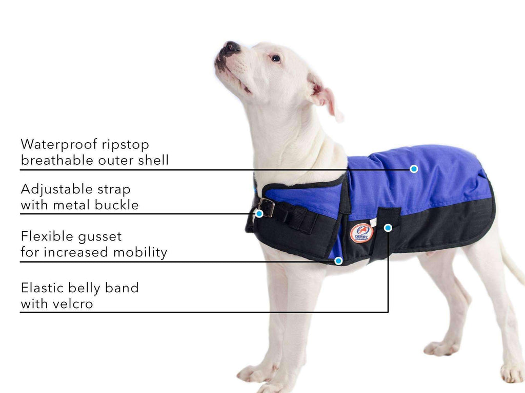 Blue waterproof ripstop dog coat with adjustable metal-buckle strap and belly band