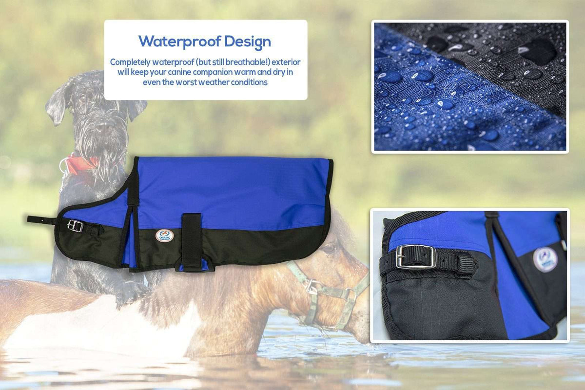 Blue waterproof ripstop dog coat with black front panel and adjustable belly straps