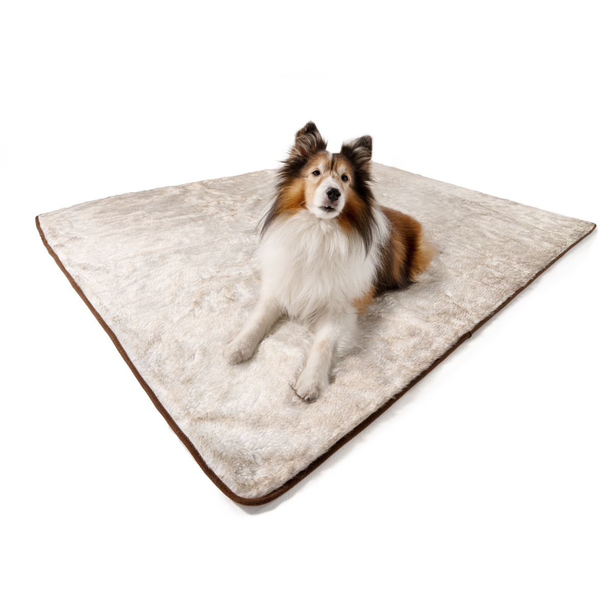Faux-fur pet blanket with brown border edges, set flat on a white background