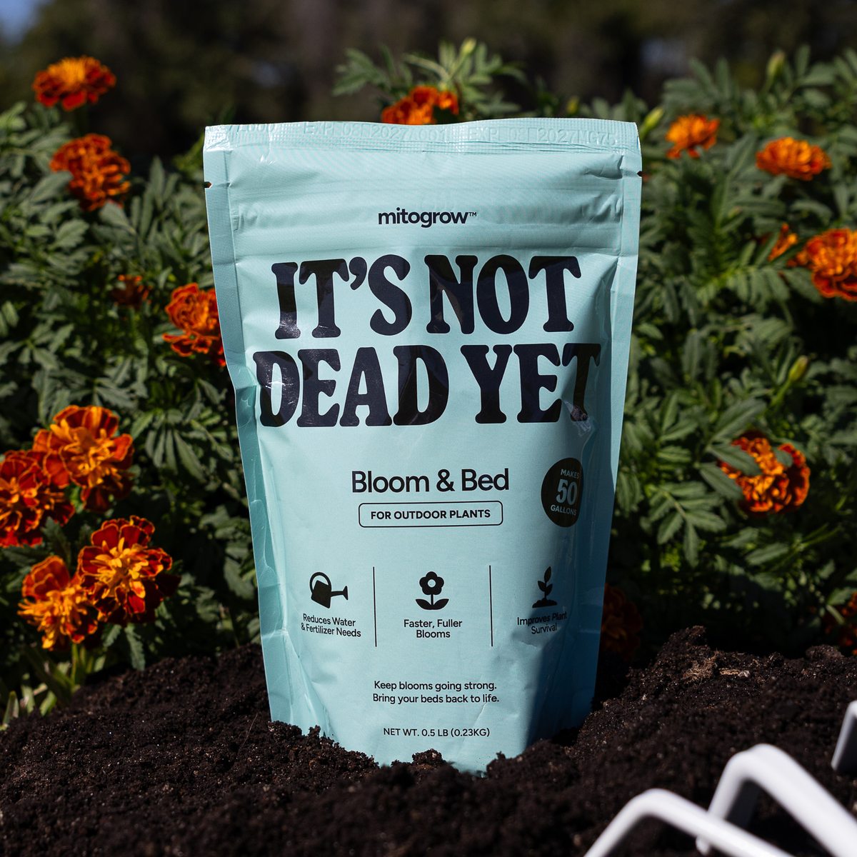 Teal MitoGrow “IT’S NOT DEAD YET” Bloom & Bed pouch planted in dark soil