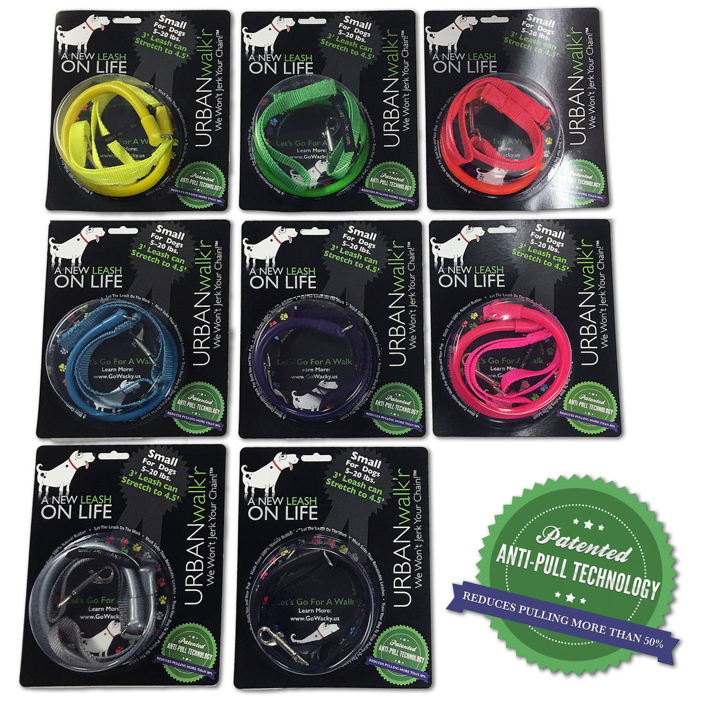 Assorted small no-pull dog leashes in multiple colors on retail cards