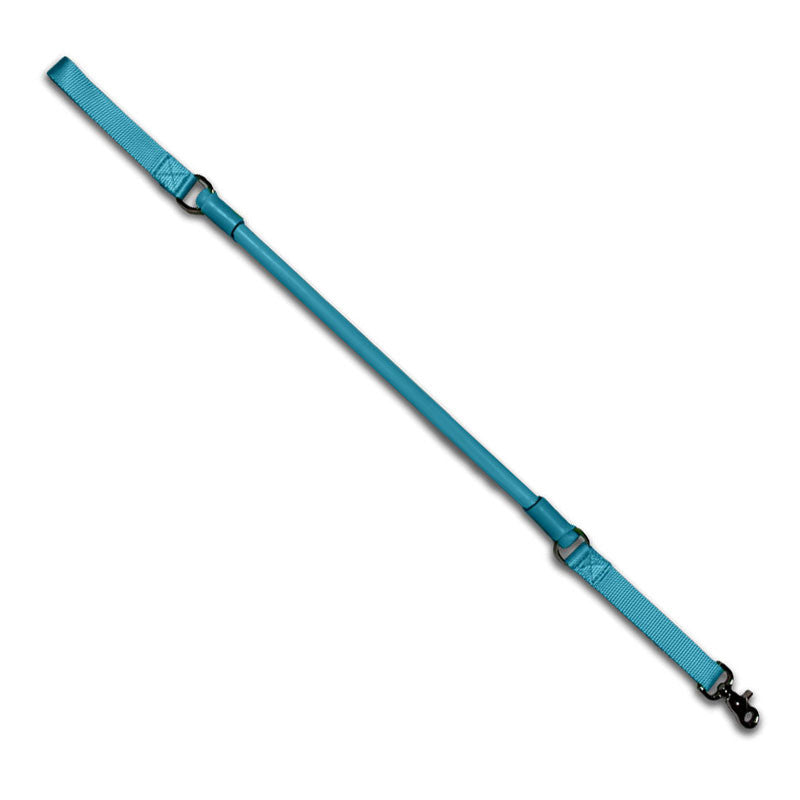 Teal no-pull dog leash with adjustable strap and metal clasp