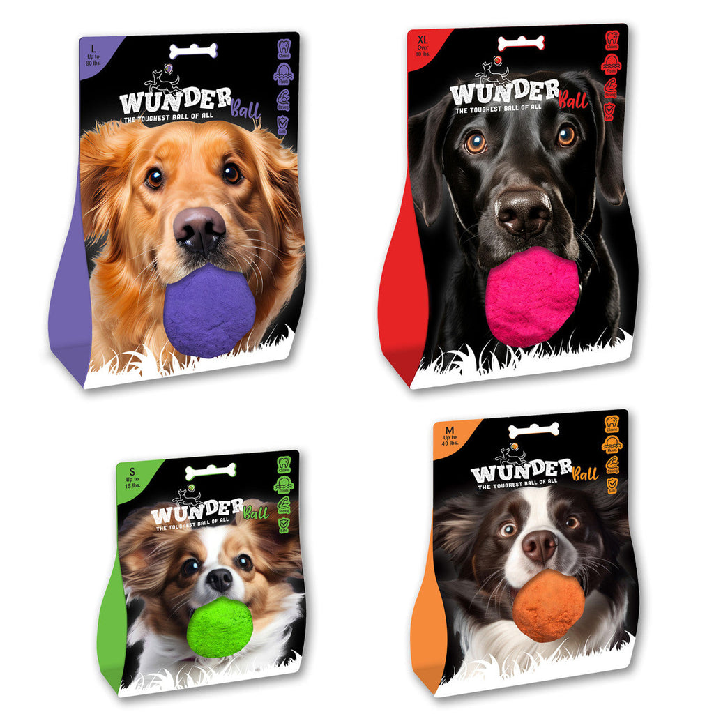 Package fronts for colorful fetch toy balls in purple, orange, green, and blue.