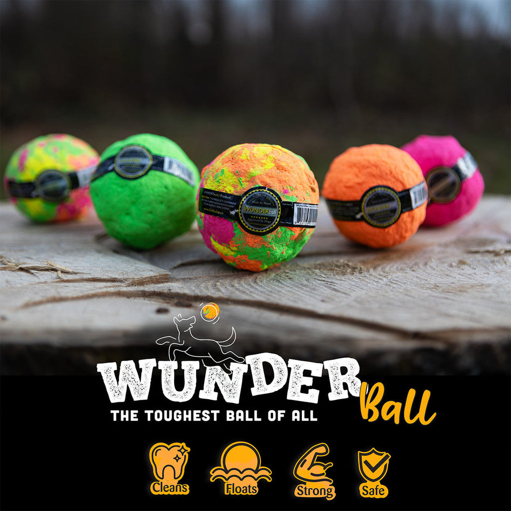 Assorted textured dog fetch balls in green, orange, purple, and multicolor.