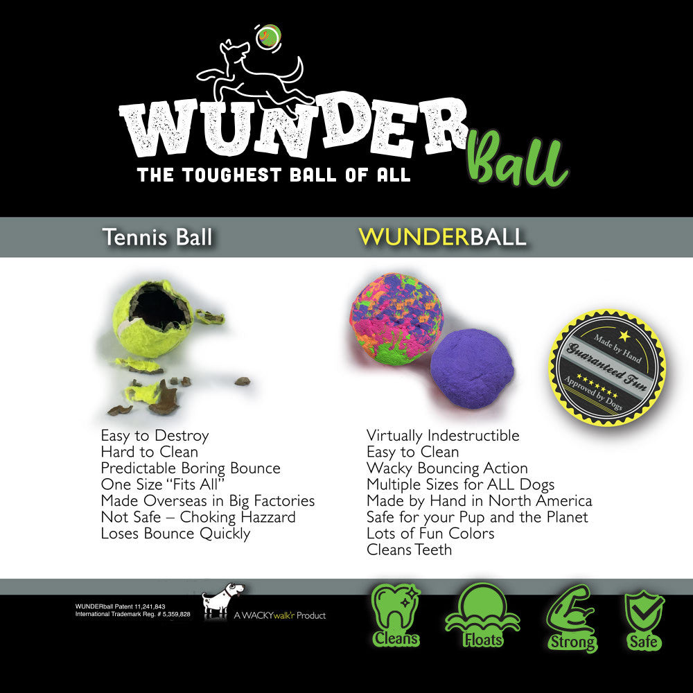 Fetch toy ball product collage featuring multicolor and purple balls.