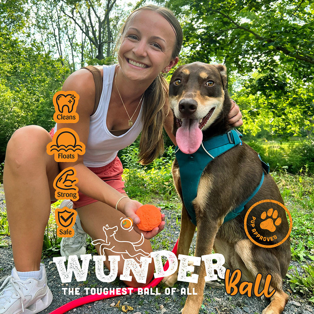Orange textured dog fetch ball being held outdoors with a dog nearby.
