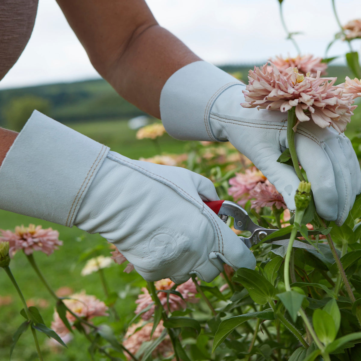 Light blue goatskin garden gloves arranging pink flowers, with suede cuff and stitched seams.