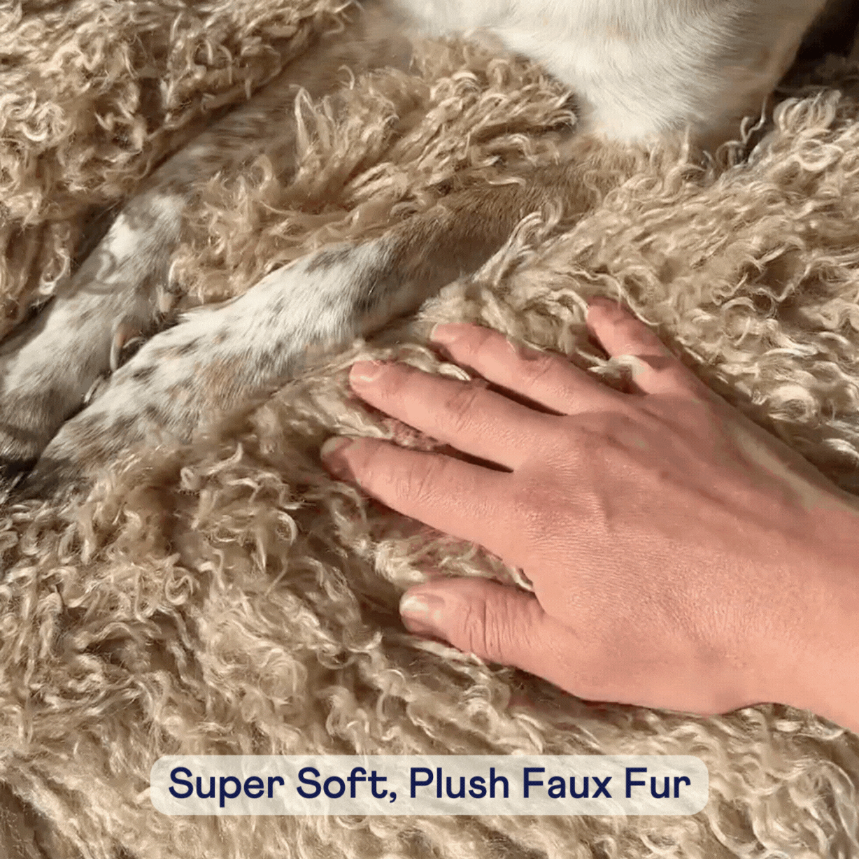 Plush faux fur dog bed surface with a hand pressing down
