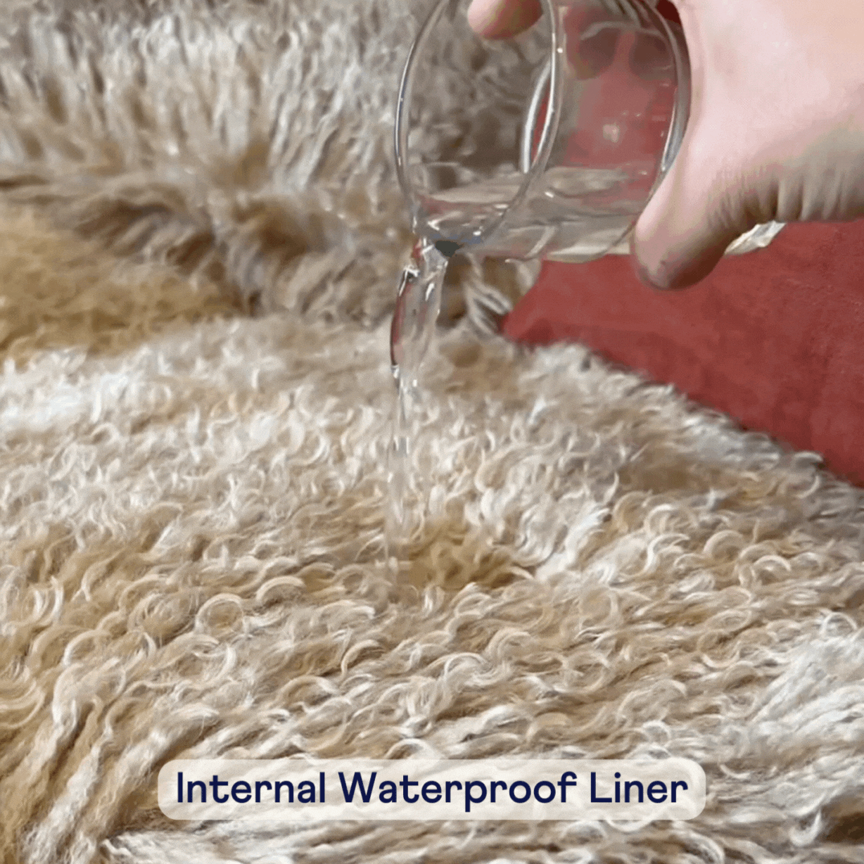 Water pouring on plush faux fur dog bed showing internal waterproof liner