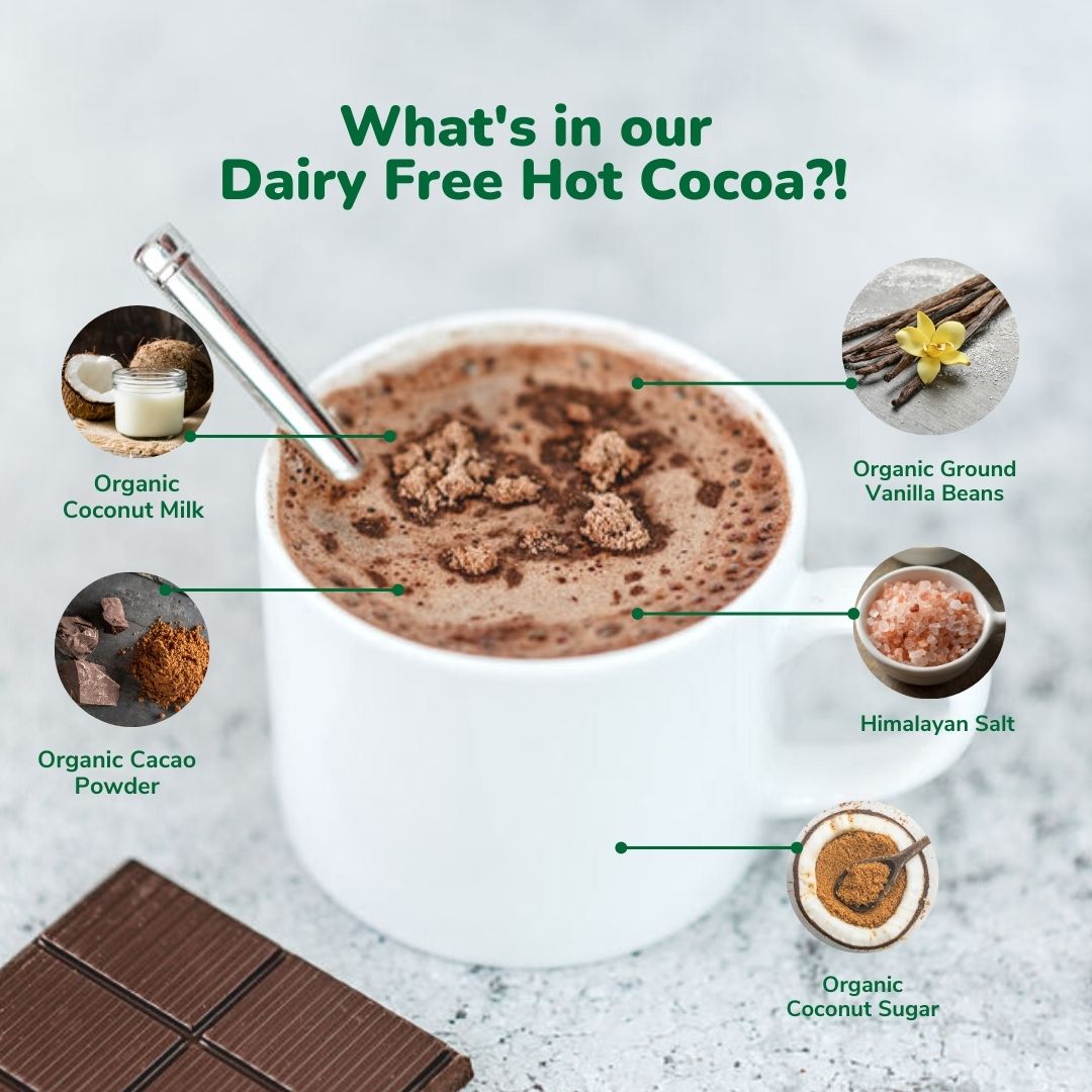 Dairy-free hot cocoa in a white cup with ingredient callout graphic above