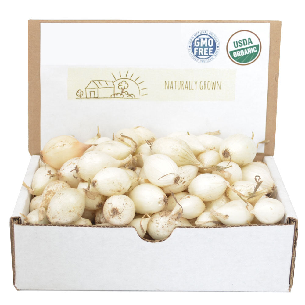 White onion sets in an open cardboard box, showing small pale bulbs with roots.