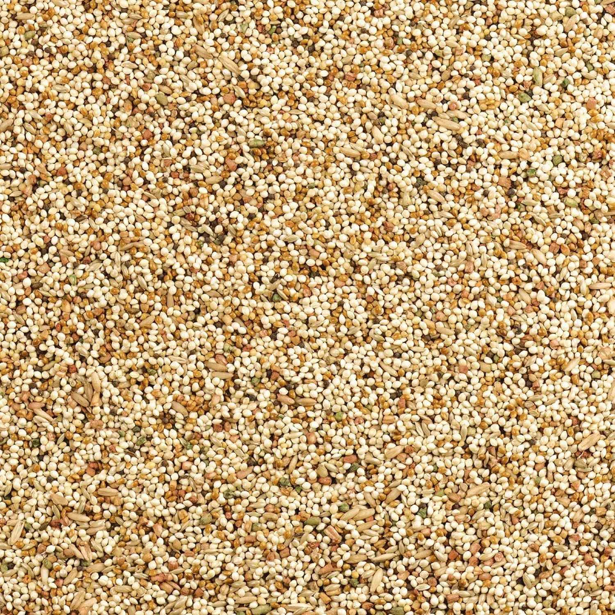 Daily Blend bird food seed mix, a blend of small pale seeds and grains