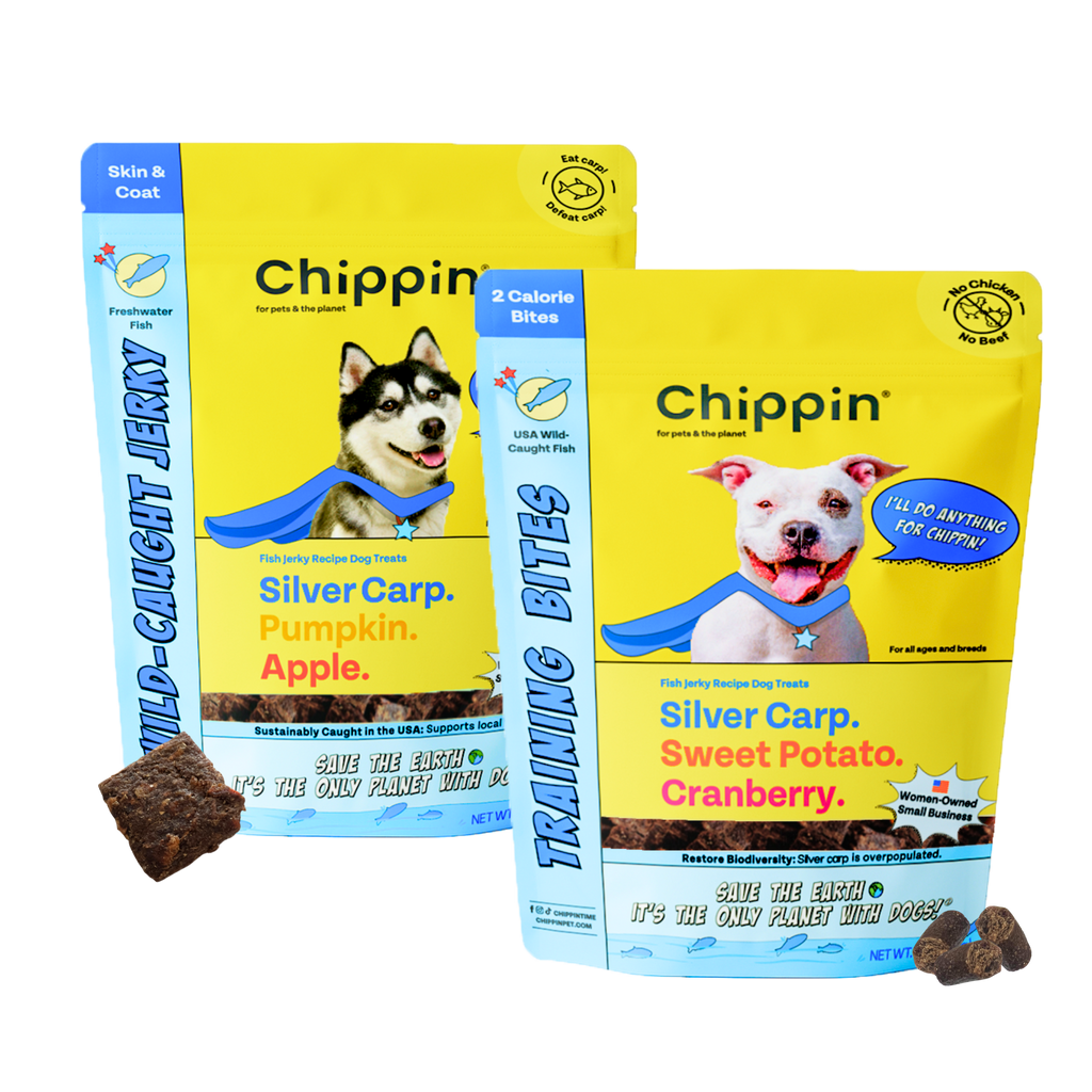 Two yellow dog treat pouches with small brown treat pieces, blue and orange flavor accents.