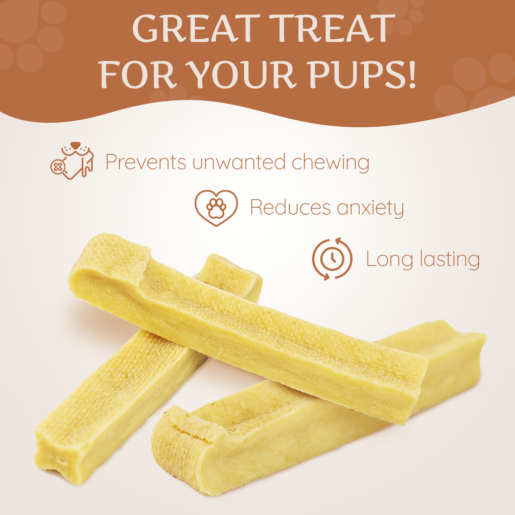 Yak cheese chew sticks with dog treat benefit icons for long-lasting chewing