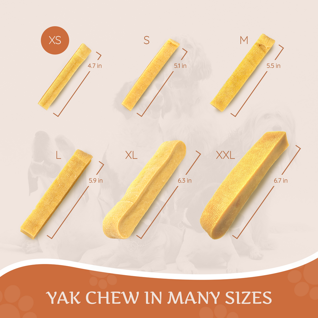 Yak cheese chew sticks shown in multiple sizes, pale yellow