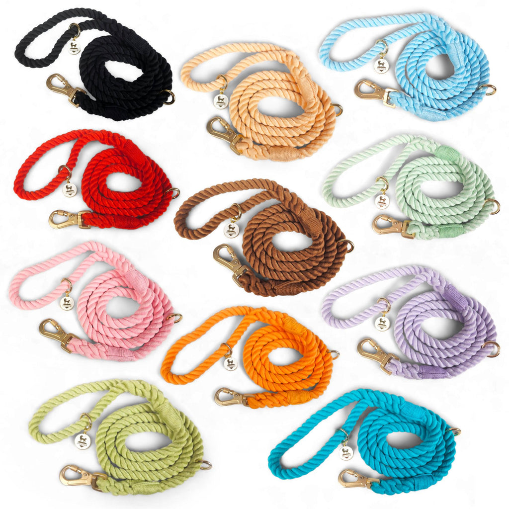 Braided rope leash set with metal clips and round charm in multiple colors