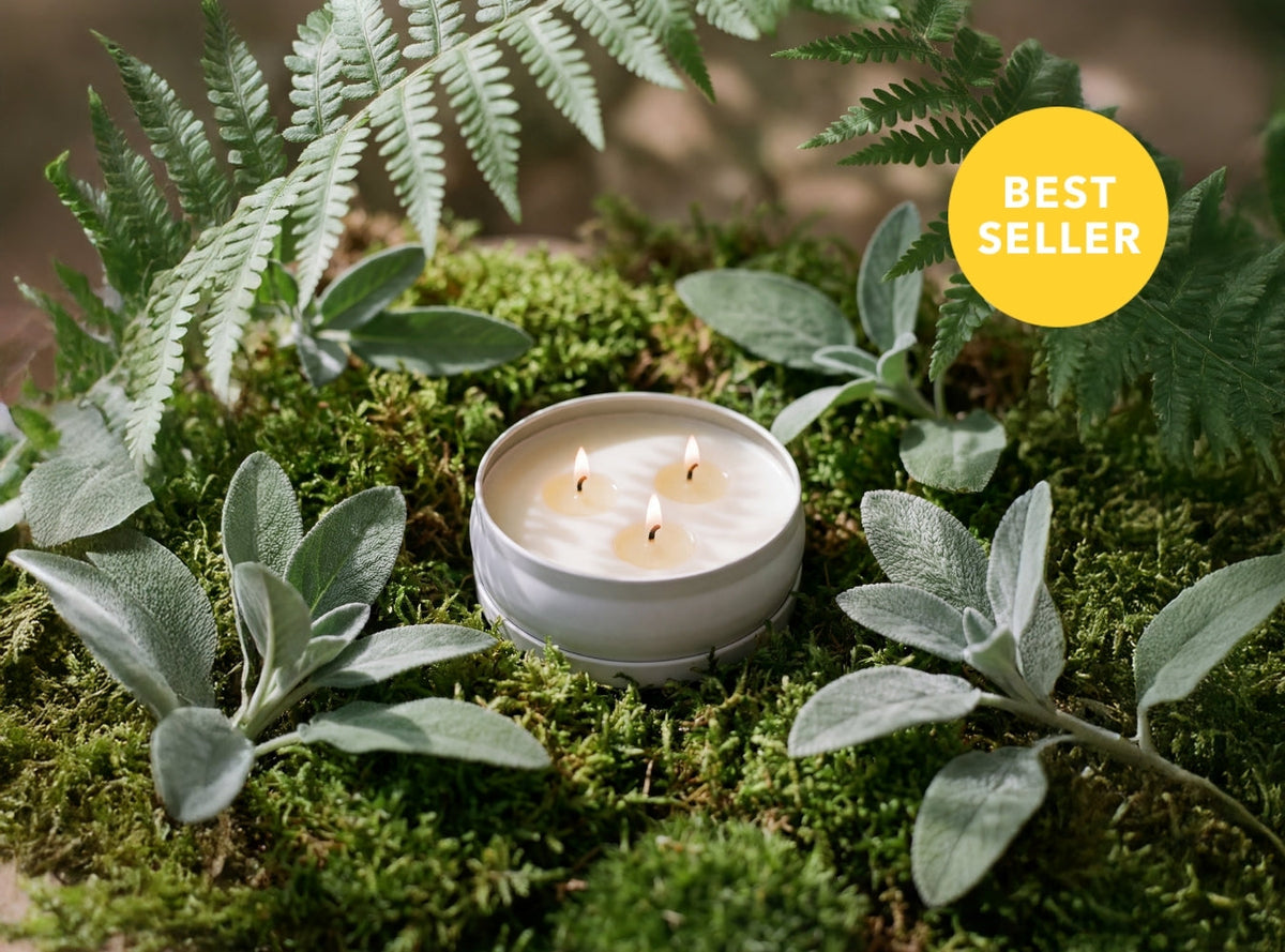 White 3-wick candle in glass jar on moss with green leaves; three flames lit