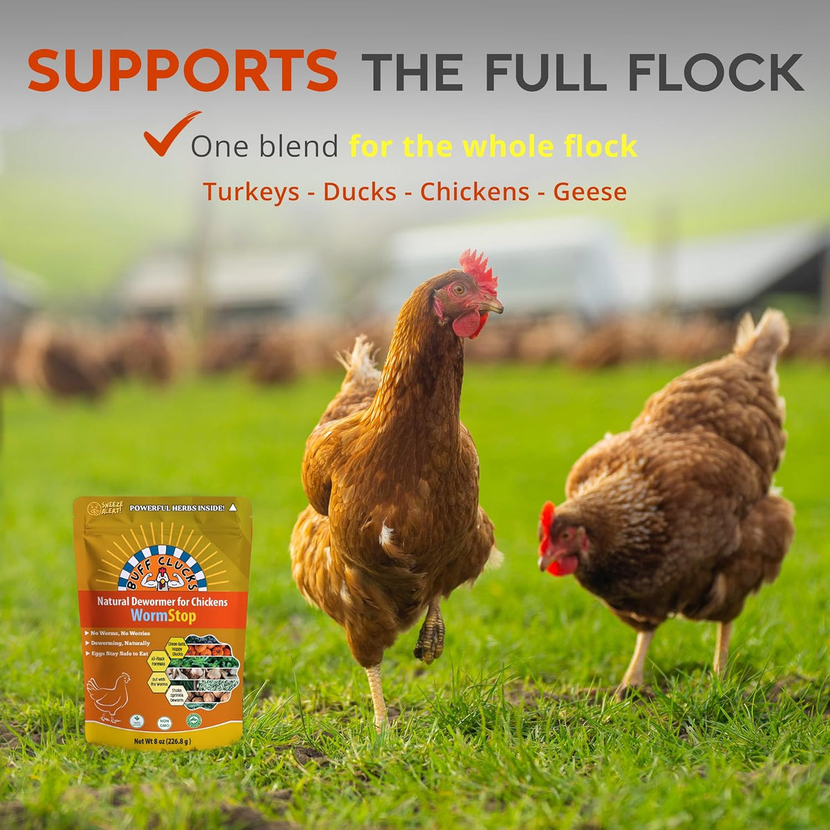 WormStop natural dewormer pouch on grass with full flock support icon and chickens