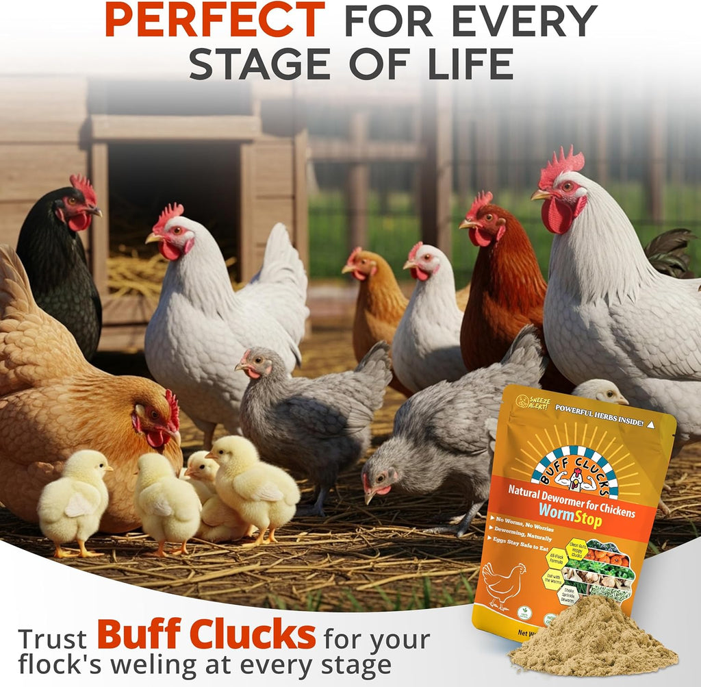 WormStop natural dewormer pouch with chicks in coop, for every stage of life