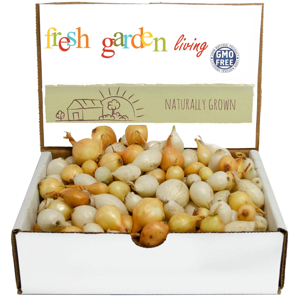 Mixed white and yellow onion sets piled in a labeled display box