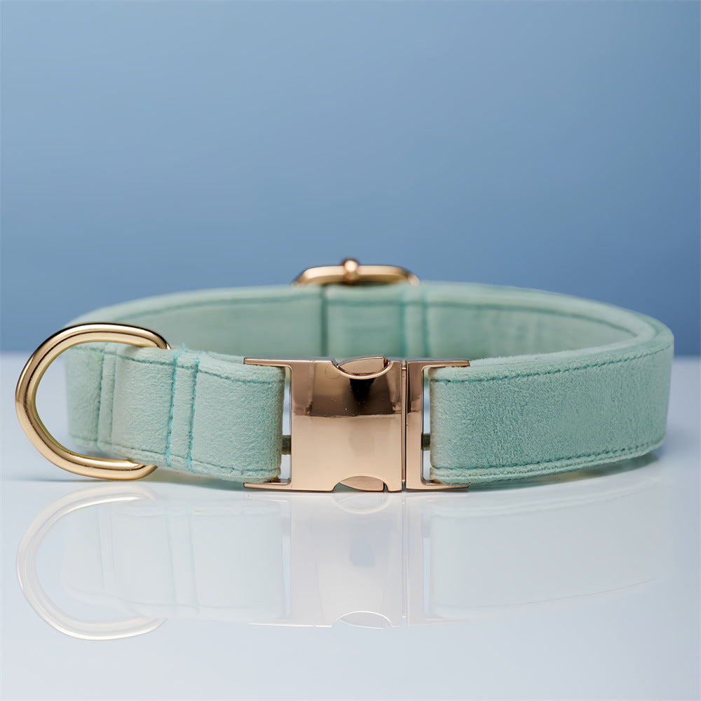 Velvet dog collar and leash set in light teal with rose-gold hardware
