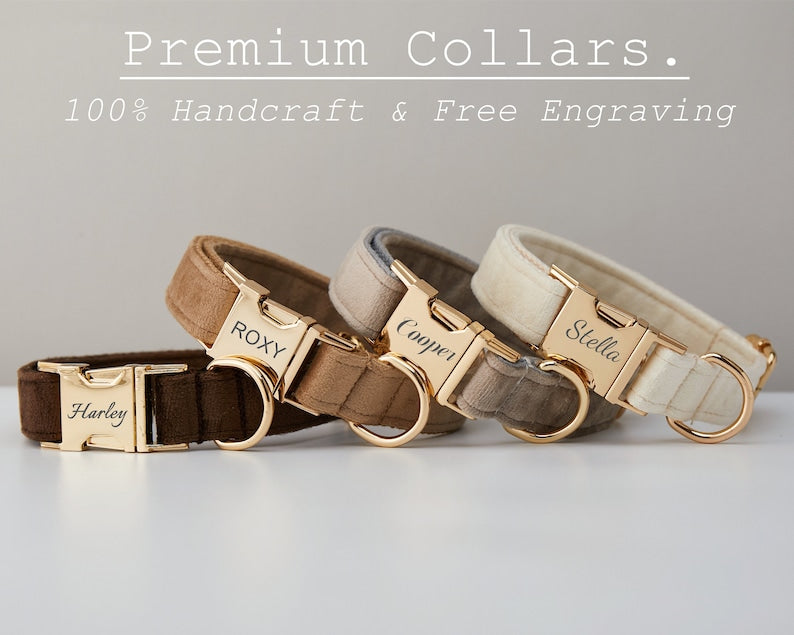 Assorted velvet dog collars with engraved nameplates and gold-tone buckles