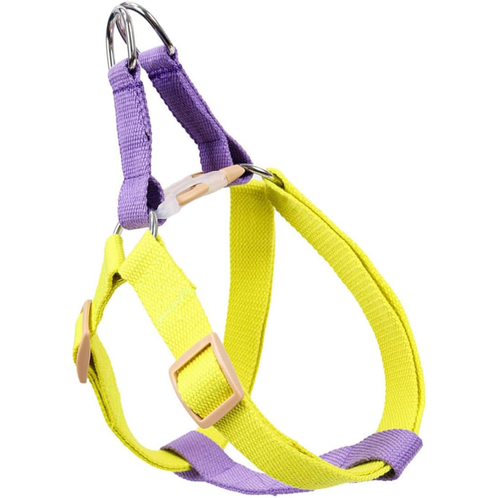 Nylon dog harness with purple and yellow adjustable straps and chrome D-ring