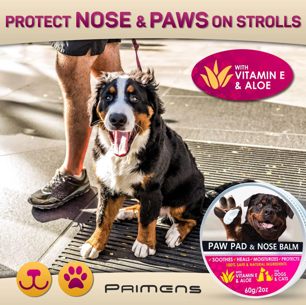 Dog sitting near a paw pad and nose balm tin, vitamin E and aloe for protection.