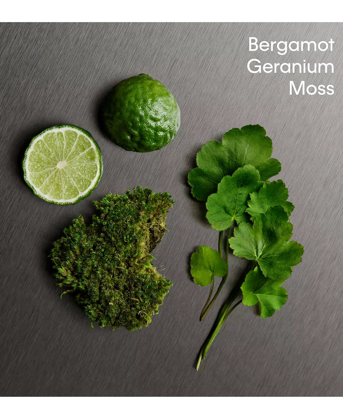 Bergamot, geranium, and moss fragrance ingredients with limes and herbs