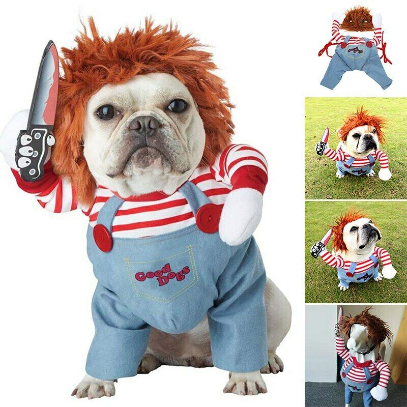 Pet dog Halloween costume: light blue overalls with red-striped sleeves and orange plush hood