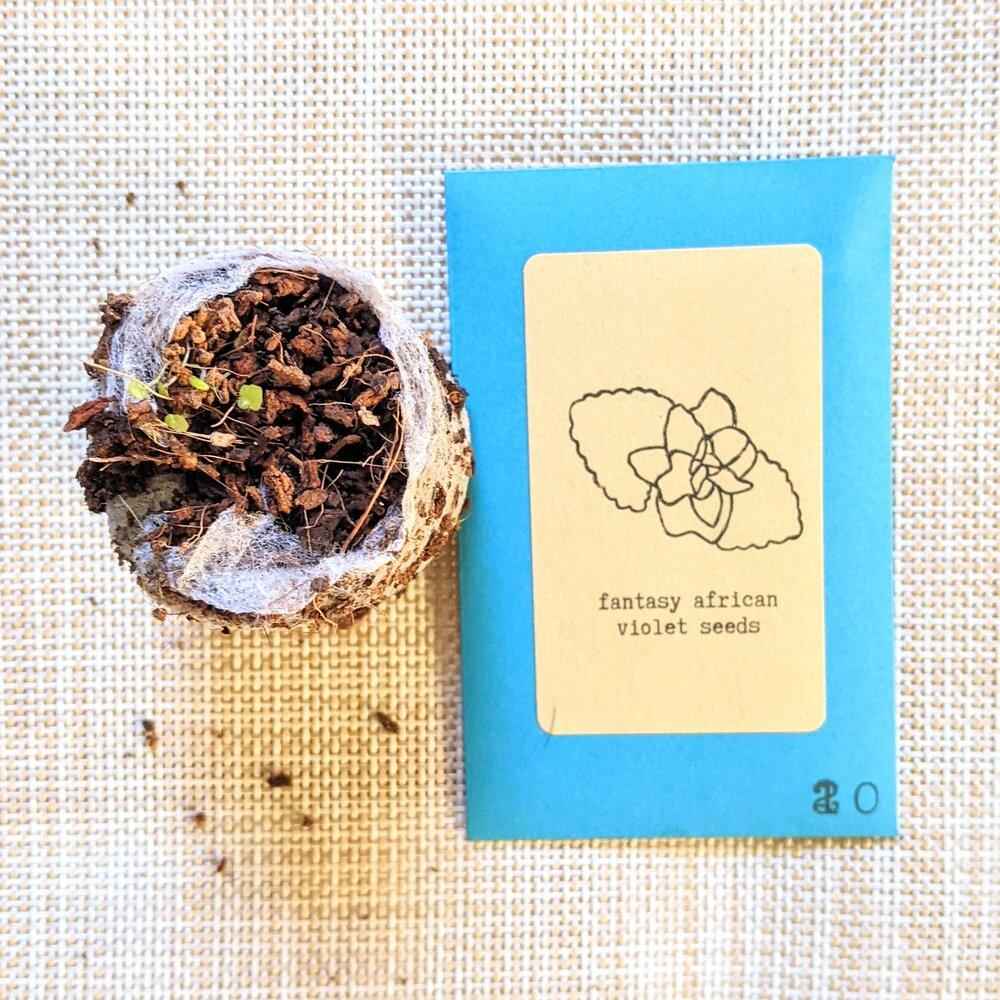 Fantasy African violet seed packet with a wrapped planting cup of dark soil mix