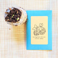 Variegated African violet seed packet beside a small cup with dark seed starter mix