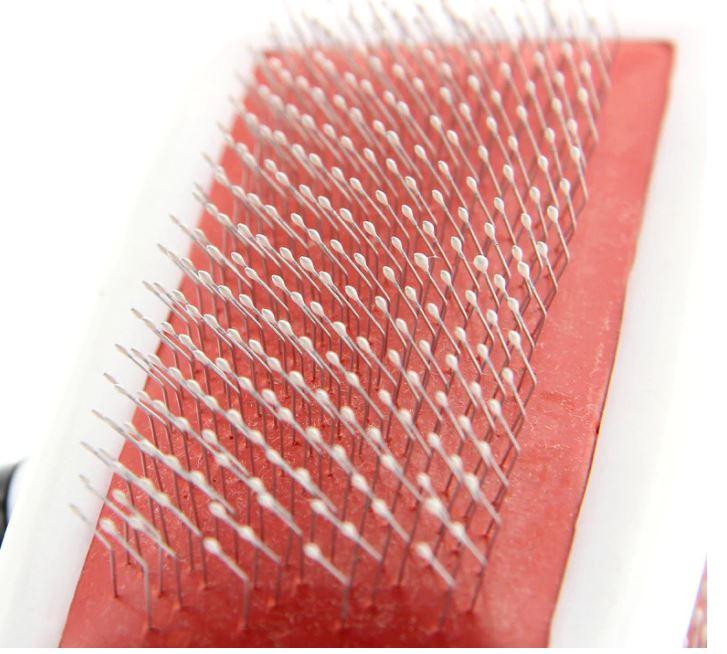 Beauty brush red pin pad with dense white bristle tips